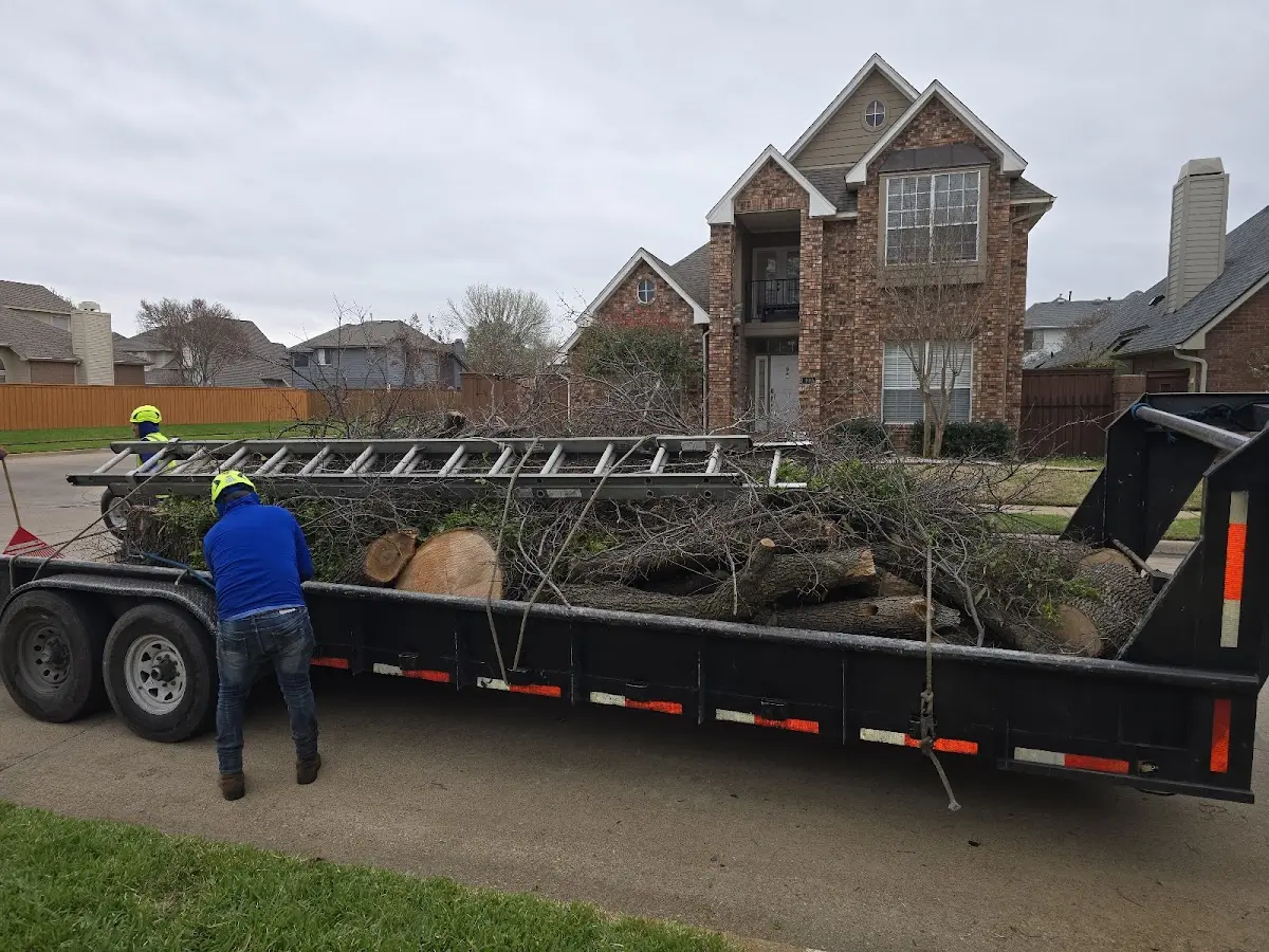 Expert Lot Clearing with proper safety equipment in Alford